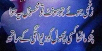 Zakhmi Hont Shayari Zakhmi Hont Shayari