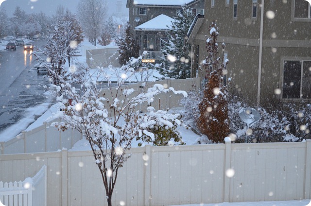 DSC_0026 DSC_0026