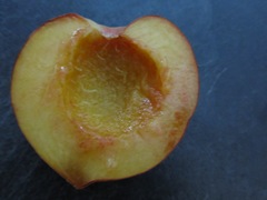 [IMG_4894%255B1%255D.jpg]
