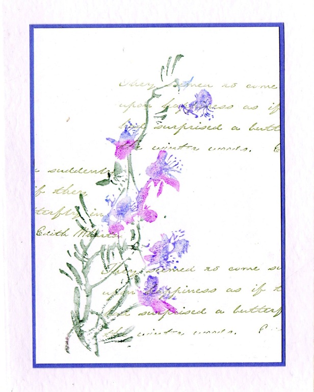 [FUCHSIA%25201%255B4%255D.jpg]