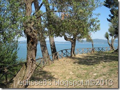 IMG_0212 IMG_0212