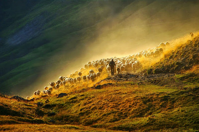 Tema Prosta_3N_Miljko Lesjak_Pastirska idila.jpg