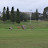DSC_0765.JPG