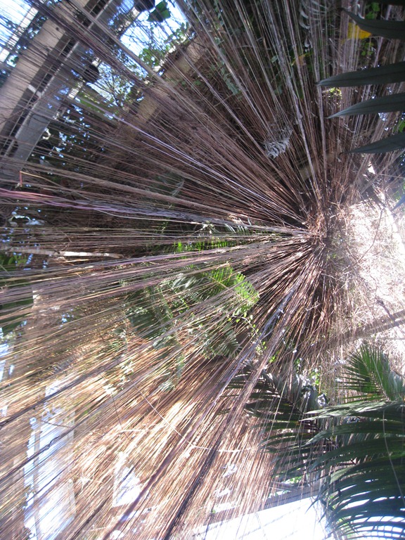 [IMG_9470%255B3%255D.jpg]