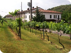agriturismo_lago_garda agriturismo_lago_garda