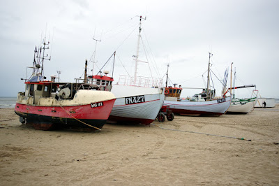 DSC00734.JPG