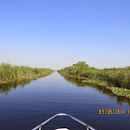 IMG_5708.JPG
