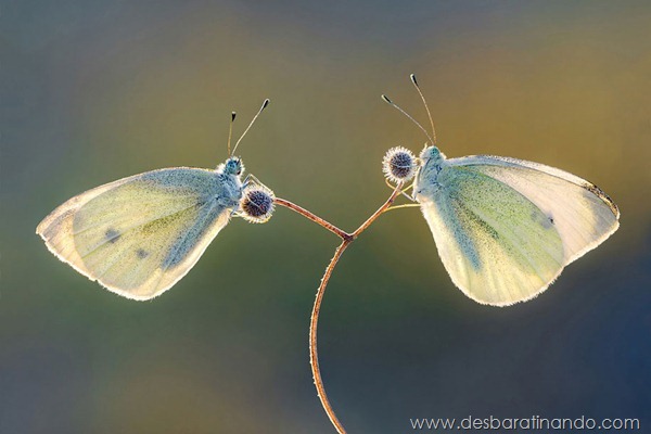 sony-world-photography-awards-2013-16 sony-world-photography-awards-2013-16
