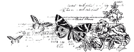 [image28.png]
