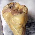 z_view_of_the_heart.JPG