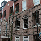 IMG_8906.JPG