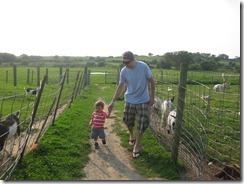 2012.08.17 Petting Zoo (12)