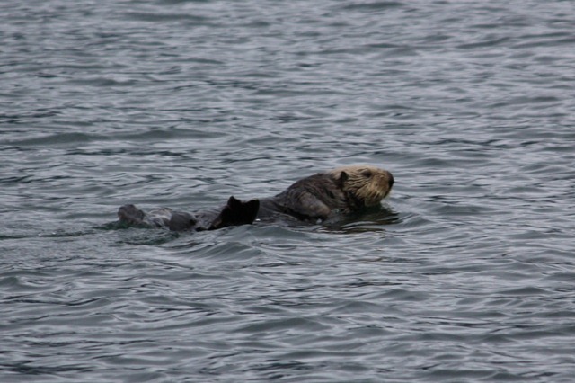 [IMG_58581280x8534.jpg]