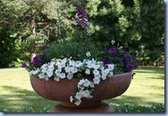 DSC00860