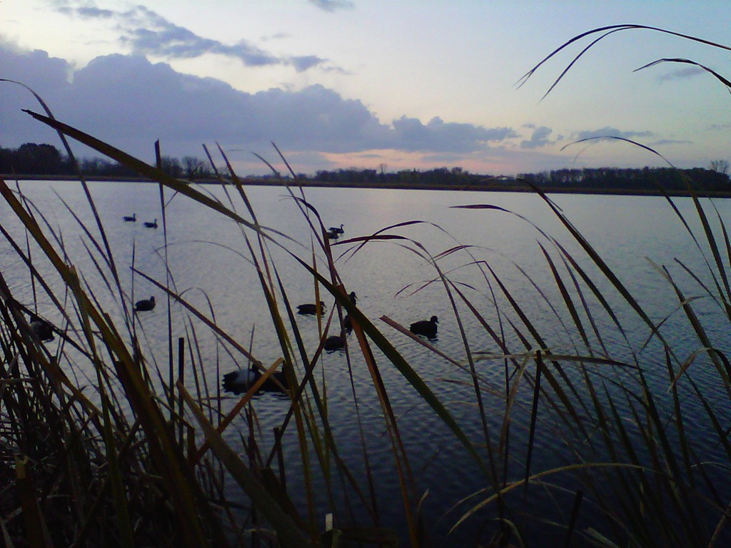 [IMG00297-20111027-0751%255B3%255D.jpg]