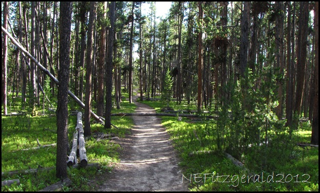 IMG_3013Seven MileHoleTrail IMG_3013Seven MileHoleTrail