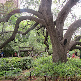 Jardins do Forte Alamao, San Antonio, Texas