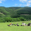 sauerland_sorpesee_hennesee_034.JPG