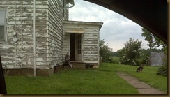 IMG00219 IMG00219