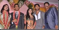 ks_ravikumar_daughter_wedding_reception_pic15