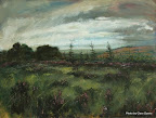 Wild and Purple by Jock Nichol