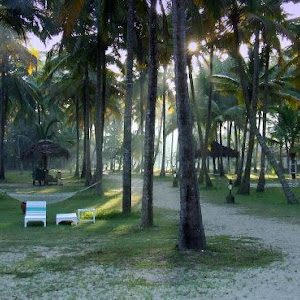 Marari Beach Resort