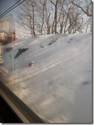SAM_3929 SAM_3929