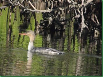 E.G. Simmona Ruskin, FL Site #65 065