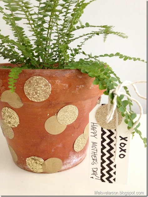 polka dot pot 2