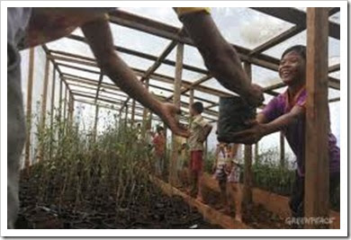 kebun pembibitan 2 kebun pembibitan 2