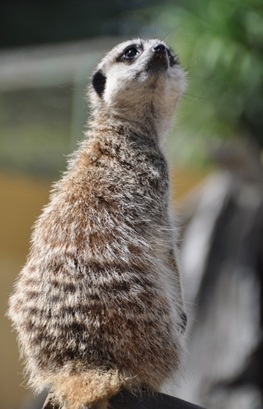 DSC_0793 DSC_0793