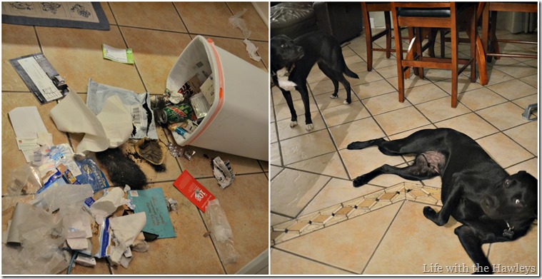 Bad Puppies Bad Puppies