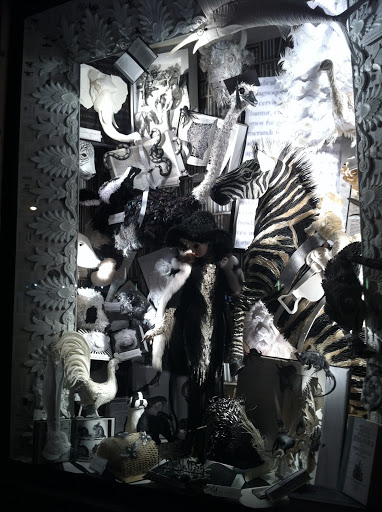 This black and white window featured zebras of course, but also had an array of furs, feathers, and other textures to give it dimension.