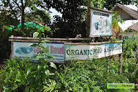 san jose market palawan 0002.jpg san jose market palawan 0002.jpg