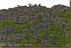 Arcadia  pinnicle cliff_ROT8639 NIKON D3S June 30, 2011