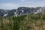DSC03434.JPG