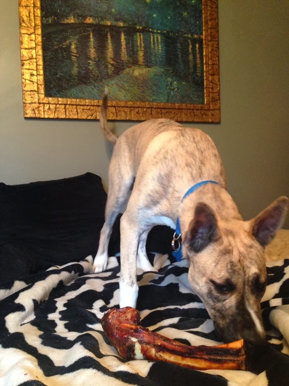 [01bce756832b7ed3d2db018fb3502c2e6b47c84507%255B3%255D.jpg]