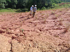 E-Tech International documents failed re-vegetation and clean-up in Oil Block 8