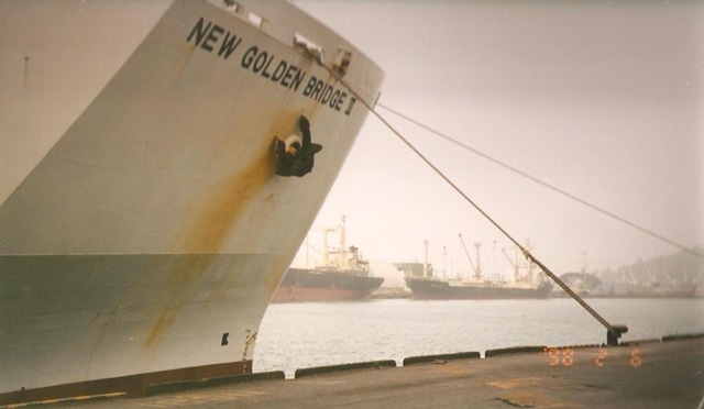 [newgoldenbridgeIII3.jpg]