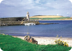 Try Your Hand At Sea Fishing