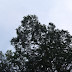 P1060147