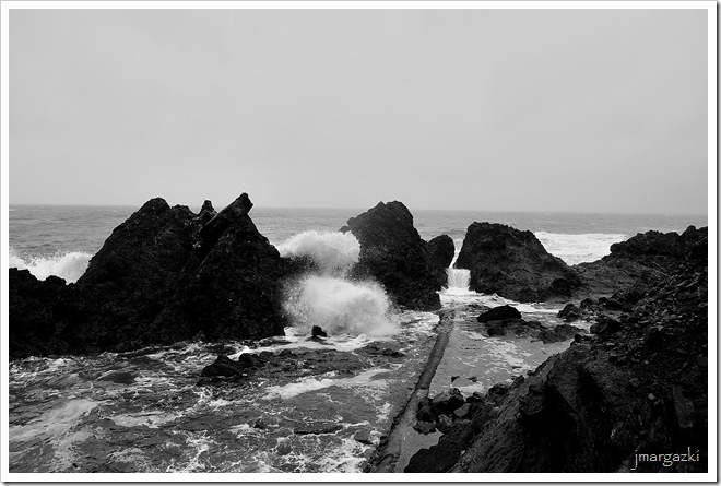 DSC_6528 DSC_6528