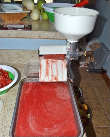 sauce master in action sauce master in action