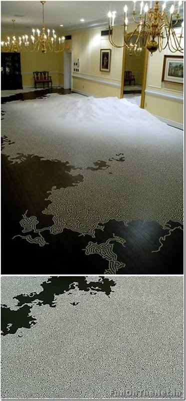 floor_6-salt floor_6-salt