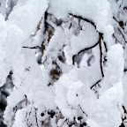20091201 Allgaeu 1047 [640x480].JPG