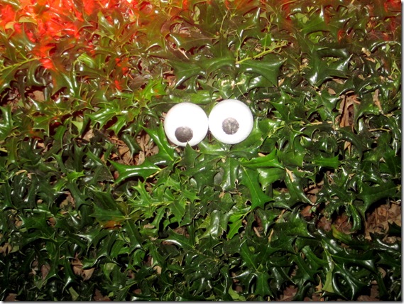 DIY Spooky Eyes DIY Spooky Eyes