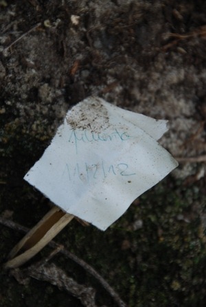 [DSC_0171%255B2%255D.jpg]