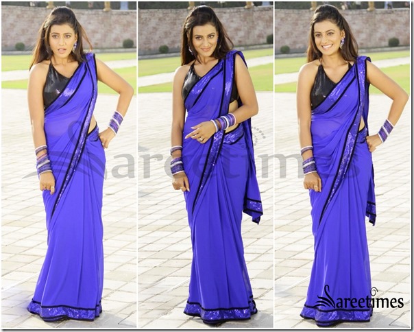 Blue_Saree