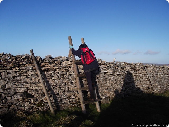 bev surmounts that stile