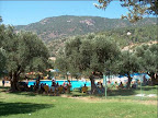 p1237344014(1).jpg